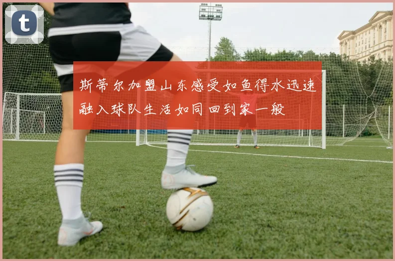 斯蒂尔加盟山东感受如鱼得水迅速融入球队生活如同回到家一般